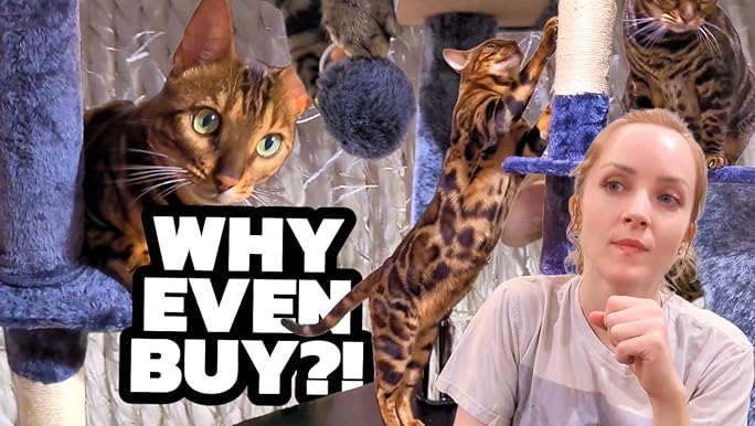 ◆Cat◆ Amazon.com : Floor to Ceiling Cat Tree, 5-Tier Height (95